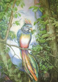 Mondvogel