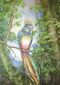 Mondvogel